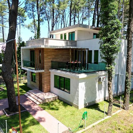 Pine Aparthotel Shekhvetili Esterno foto