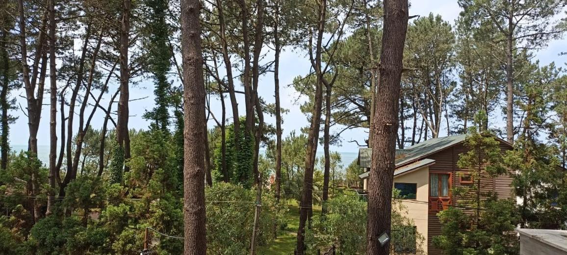 Pine Aparthotel Shekhvetili Esterno foto