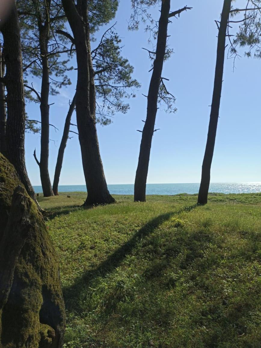 Pine Aparthotel Shekhvetili Esterno foto